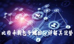 如何使用比特币钱包子地