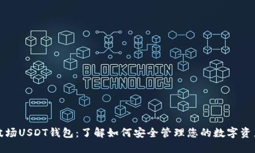 波场USDT钱包：了解如何安全管理您的数字资产