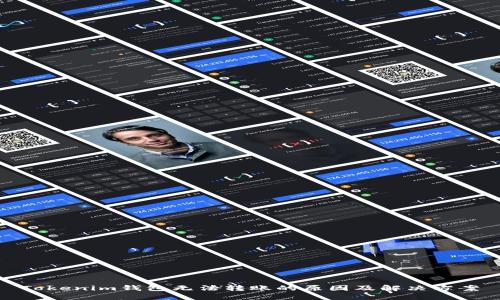 Tokenim钱包无法转账的原因及解决方案