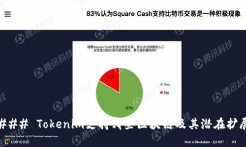 ### Tokenim支持哪些区块链及其潜在扩展
