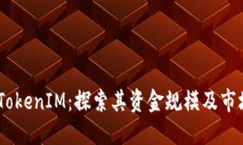 ## TokenIM：探索其资金规模及市场潜力