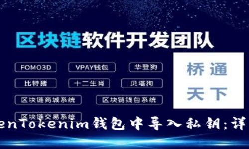如何在TokenTokenim钱包中导入私钥：详细步骤指南