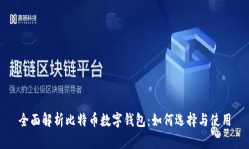 全面解析比特币数字钱包：如何选择与使用