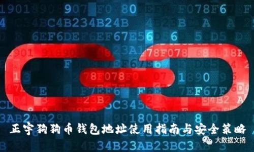正宇狗狗币钱包地址使用指南与安全策略
