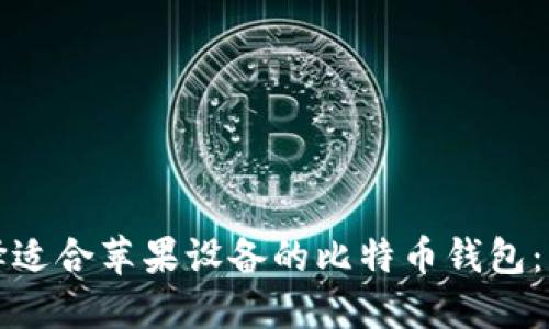 如何选择适合苹果设备的比特币钱包：详细指南