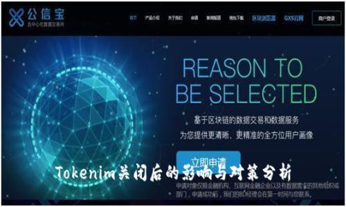 Tokenim关闭后的影响与对策分析