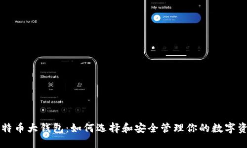 比特币大钱包：如何选择和安全管理你的数字资产