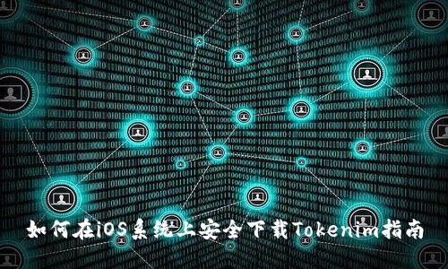 如何在iOS系统上安全下载Tokenim指南