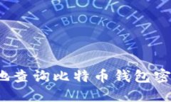 如何安全地查询比特币钱