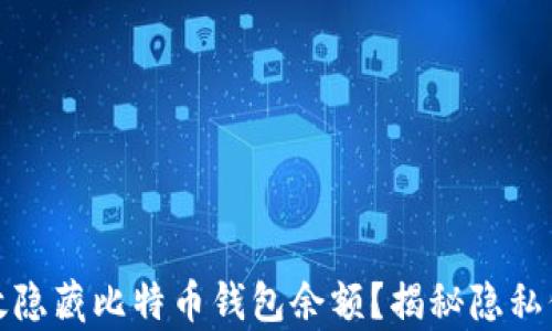
如何有效隐藏比特币钱包余额？揭秘隐私保护技巧