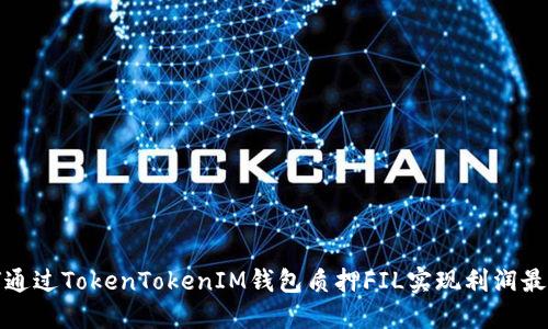 如何通过TokenTokenIM钱包质押FIL实现利润最大化