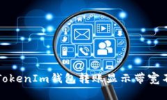 如何解决TokenIm钱包转账显