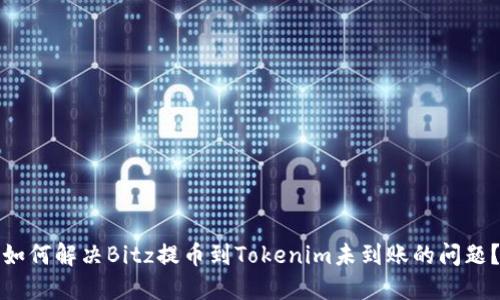 如何解决Bitz提币到Tokenim未到账的问题？