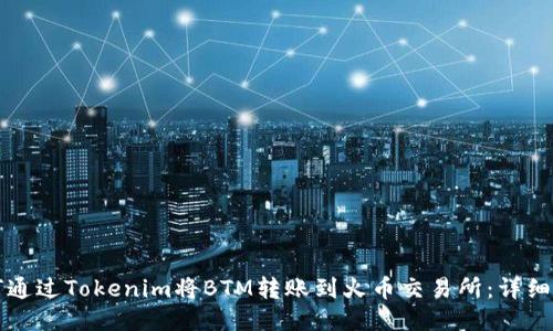 如何通过Tokenim将BTM转账到火币交易所：详细指南