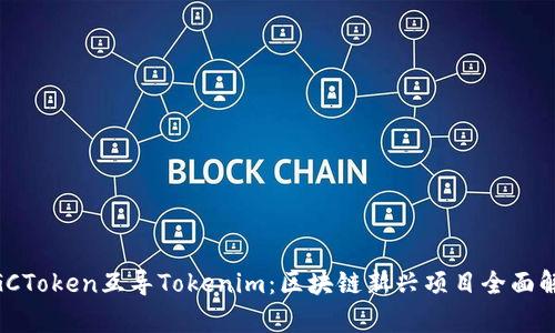 MGCToken互导Tokenim：区块链新兴项目全面解析