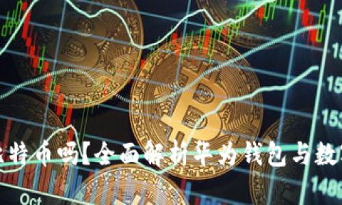 华为钱包能存比特币吗？全面解析华为钱包与数字货币的兼容性
