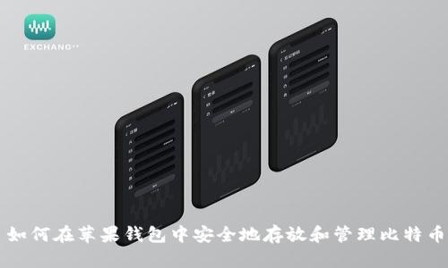 如何在苹果钱包中安全地存放和管理比特币