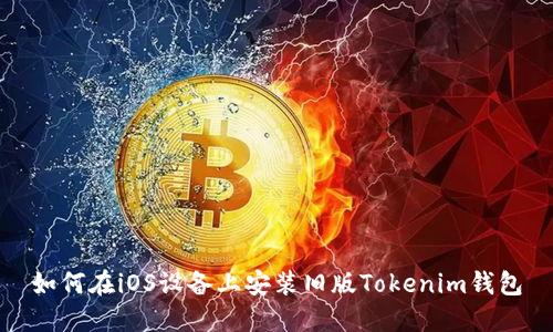如何在iOS设备上安装旧版Tokenim钱包