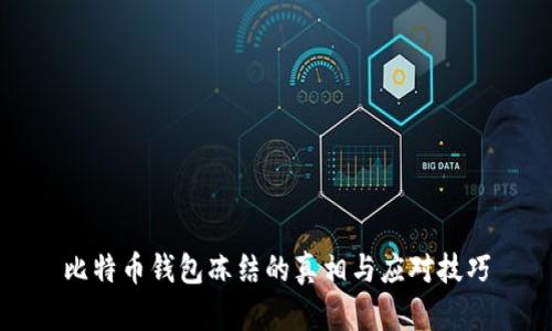 比特币钱包冻结的真相与应对技巧