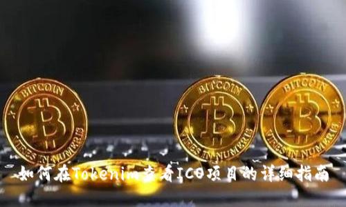 如何在Tokenim查看ICO项目的详细指南
