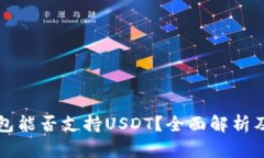 比特币钱包能否支持USDT？