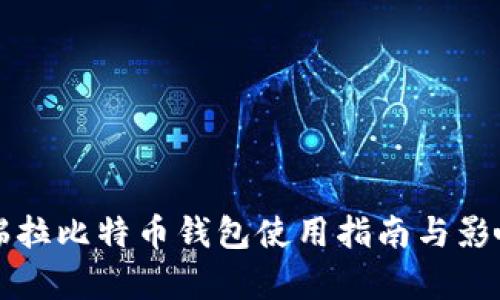 委内瑞拉比特币钱包使用指南与影响分析