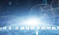东莞Tokenim项目：区块链技