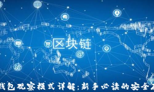
比特币钱包观察模式详解：新手必读的安全存储方式
