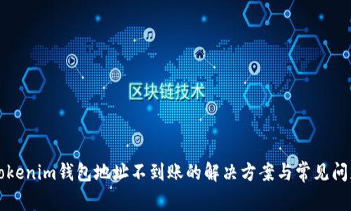 充值Tokenim钱包地址不到账的解决方案与常见问题解析
