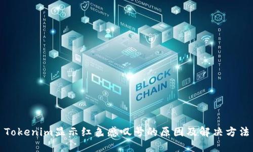 Tokenim显示红色感叹号的原因及解决方法