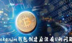 如何解决Tokenim钱包创建后