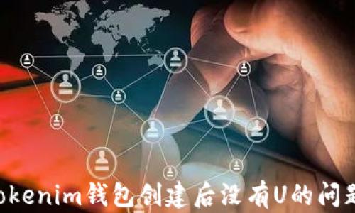 
如何解决Tokenim钱包创建后没有U的问题：详细指南