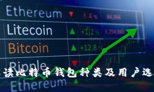 全面解读比特币钱包种类及用户选择指南