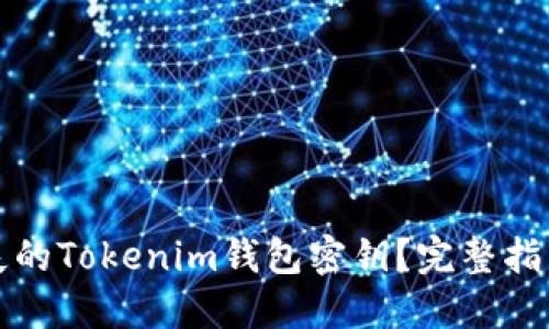 如何找回丢失的Tokenim钱包密钥？完整指南与解决方案