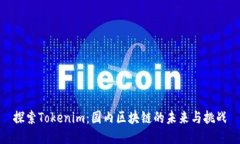 探索Tokenim：国内区块链的