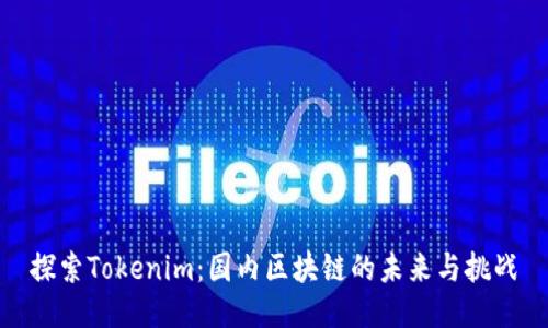 探索Tokenim：国内区块链的未来与挑战