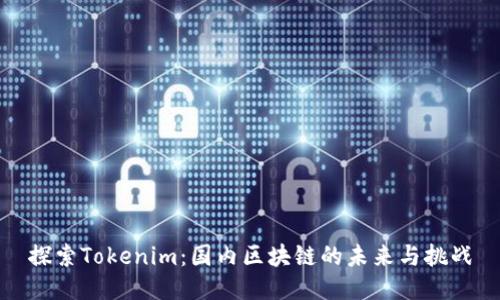 探索Tokenim：国内区块链的未来与挑战