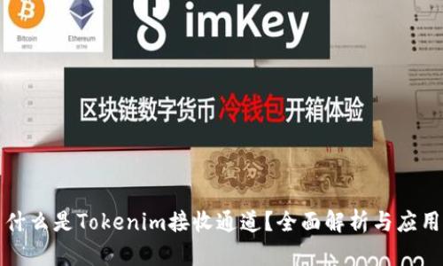 什么是Tokenim接收通道？全面解析与应用