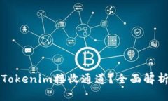什么是Tokenim接收通道？全
