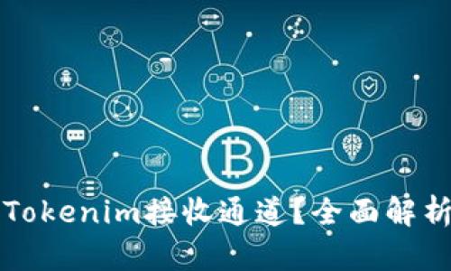 什么是Tokenim接收通道？全面解析与应用