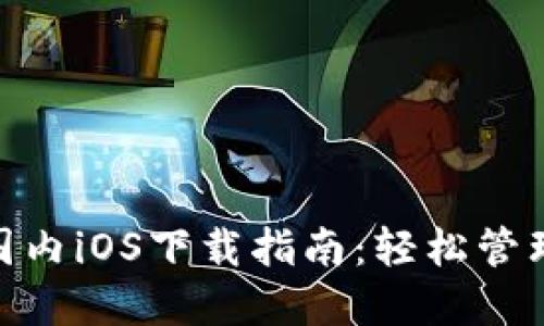 TokenIM国内iOS下载指南：轻松管理加密资产