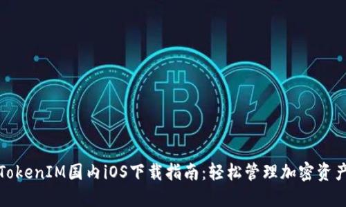 TokenIM国内iOS下载指南：轻松管理加密资产