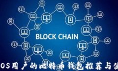 最适合iOS用户的比特币钱