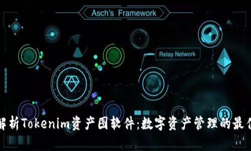 全面解析Tokenim资产图软件：数字资产管理的最佳选择