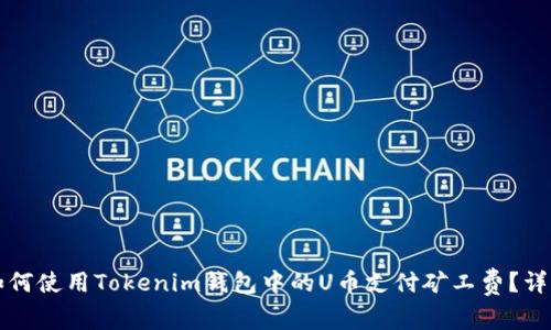 优质如何使用Tokenim钱包中的U币支付矿工费？详细指南