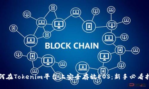 如何在Tokenim平台上安全存放EOS：新手必看指南