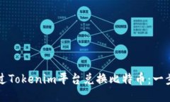 如何通过Tokenim平台兑换比