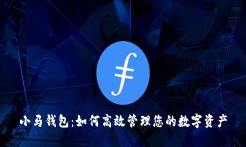 小马钱包：如何高效管理您的数字资产