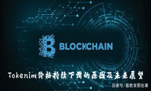 Tokenim价格持续下滑的原因及未来展望