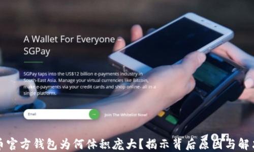 
比特币官方钱包为何体积庞大？揭示背后原因与解决方案